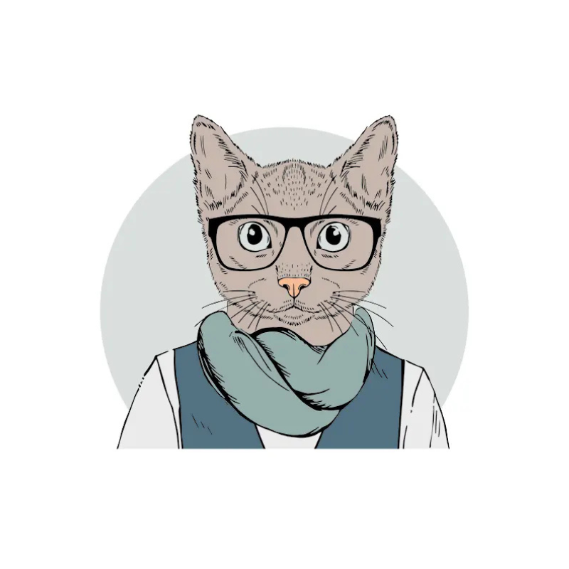 Kater Kasimir Kategoriebild - LOVIN'CAT