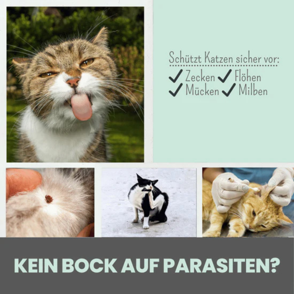 Anwendungsbereich Zpot-on für Katzen Anti-Zecken-Wirkkomplex - noms+