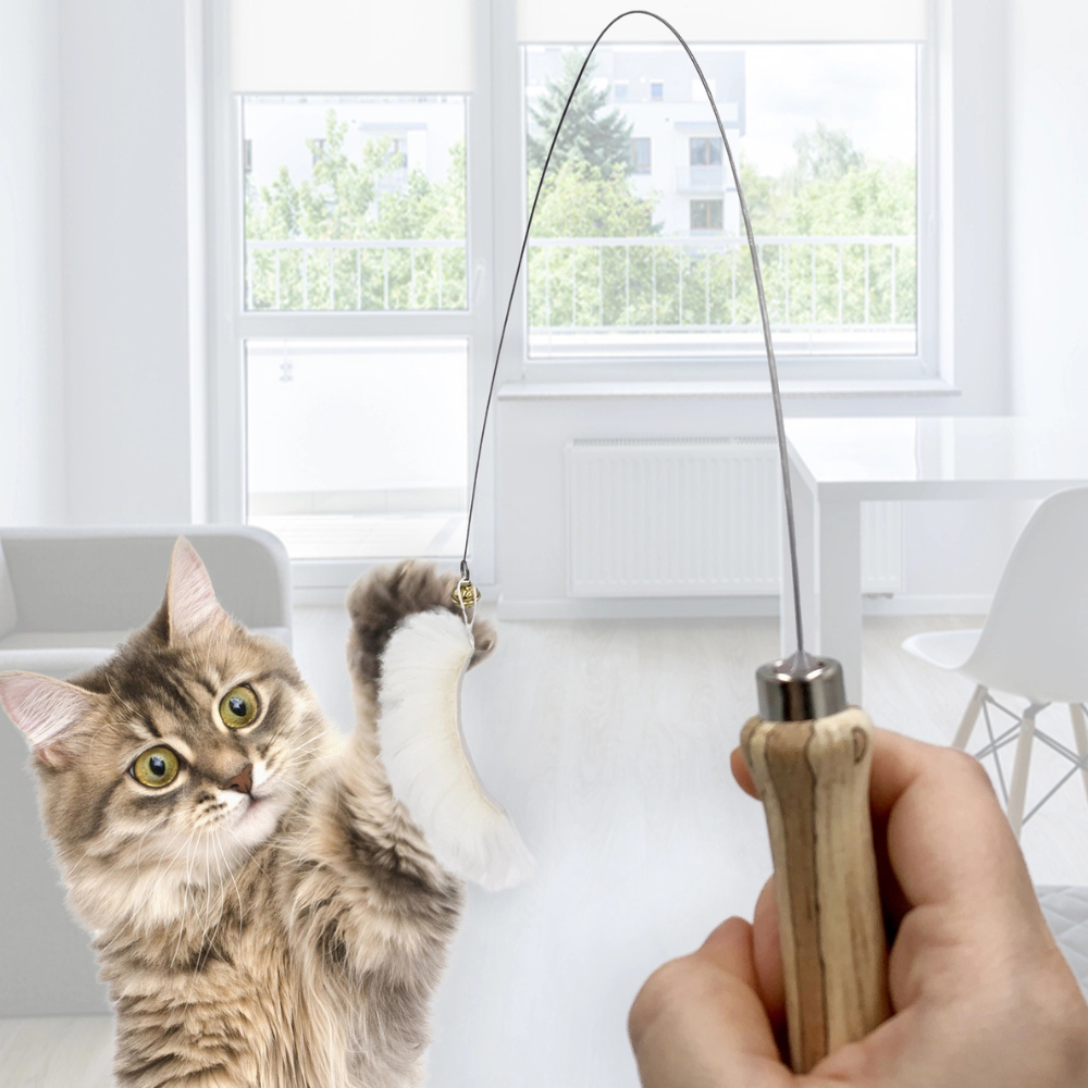 Beispielbild Katze mit Katzenangel - Kater Kasimir