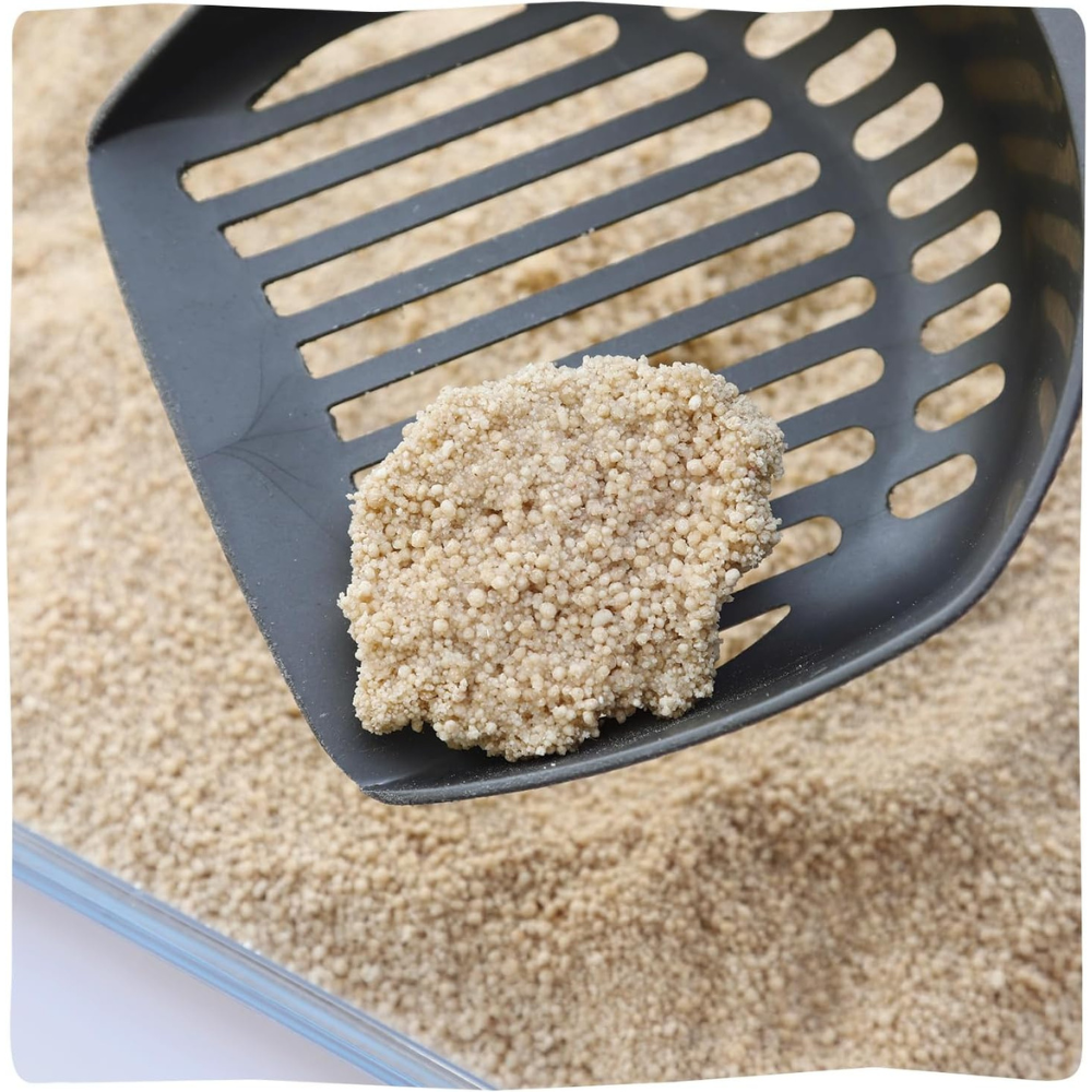 Beispielinhalt Öko Katzenstreu Meow Tai klumpend & staubfrei - KittyBay