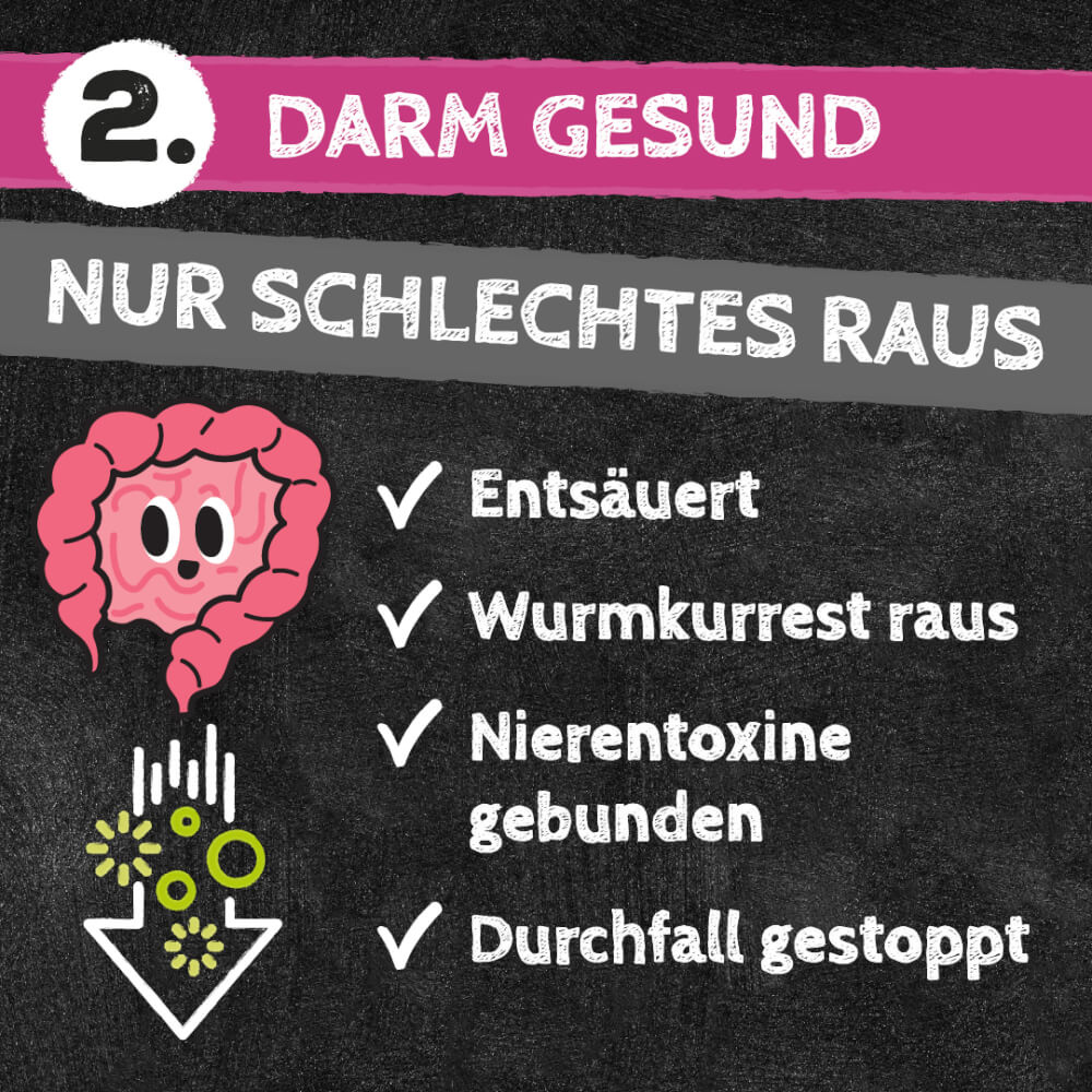 Darm gesund Snack Zahnputzkohle für Katzen - QCHEFS