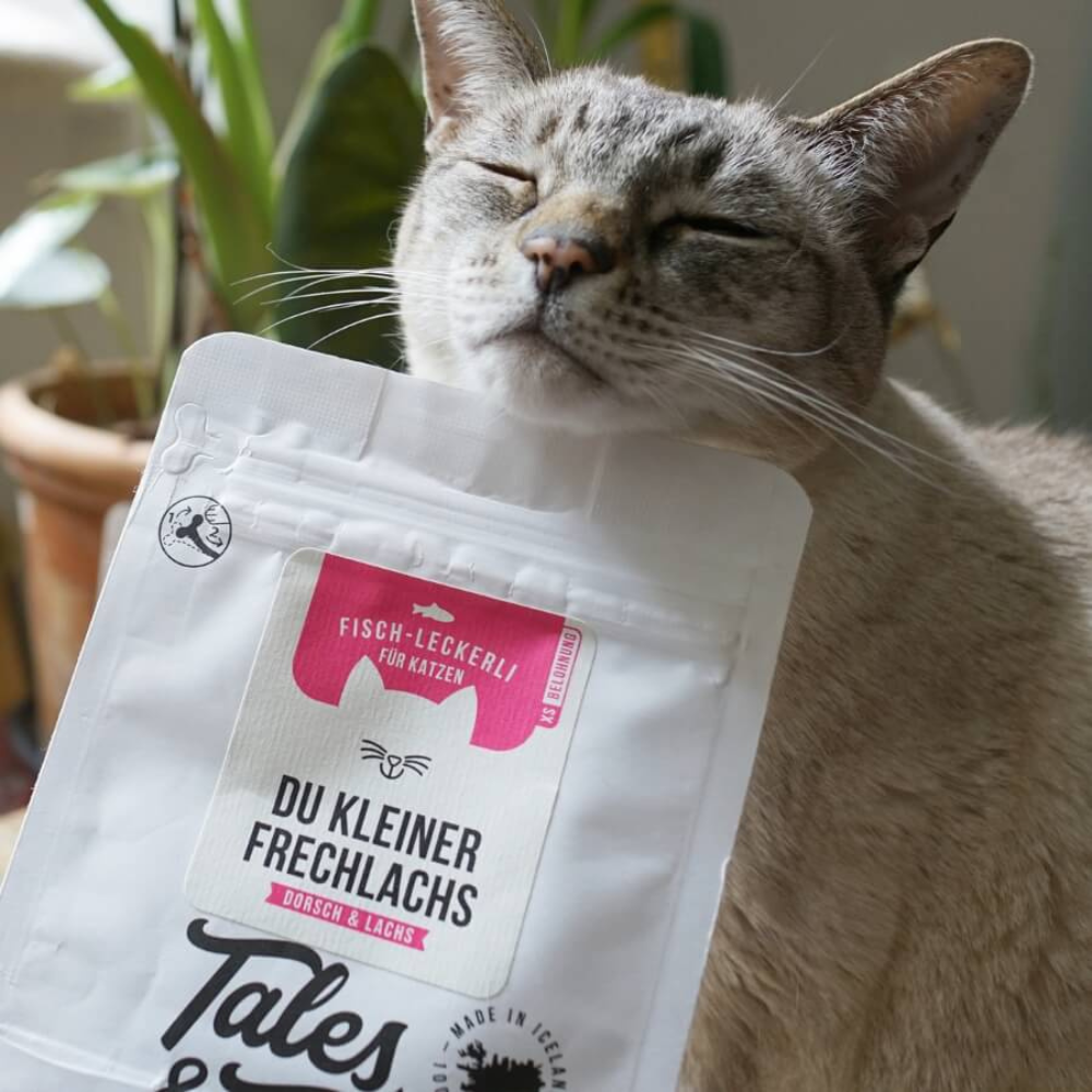 Dekobild Fisch Leckerli für Katzen - Du kleiner Frechlachs - Tales & Tails