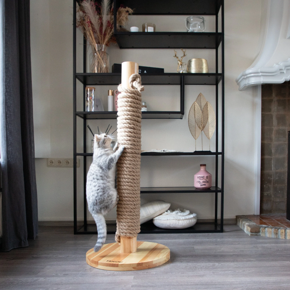 Dekobild Katze an Kratzbaum TOTEM Natural - Hoopo