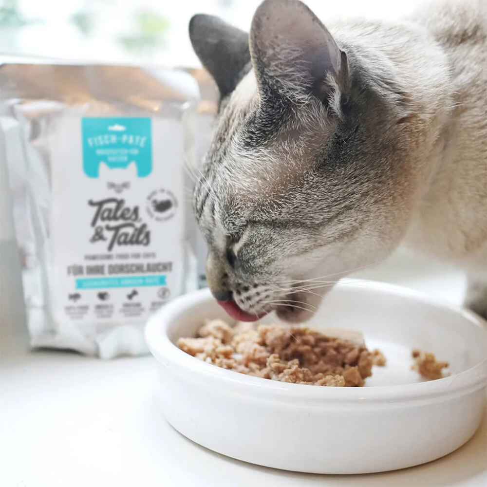 Dekobild Fisch Paté Nassfutter für Katzen - Für Ihre Dorschlaucht - Tales & Tails