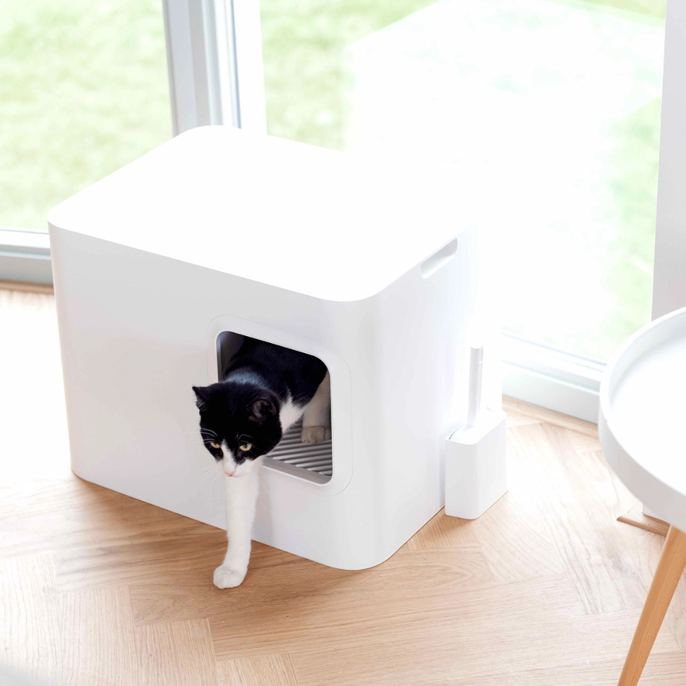 Dekobild Katze in Katzentoiletten DOME Weiß - Hoopo
