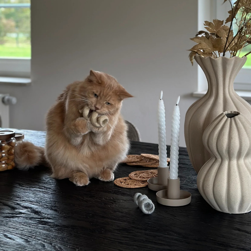 Dekobild Katze mit Katzenspirale SPIRA Moon - MiaCara