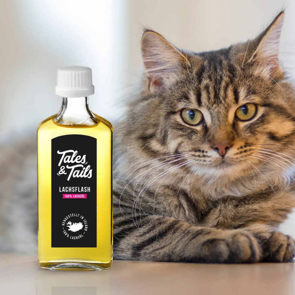 Dekobild Katze mit Lachsöl - Lachsflash für Katzen mit Omega 3 - Tales & Tails