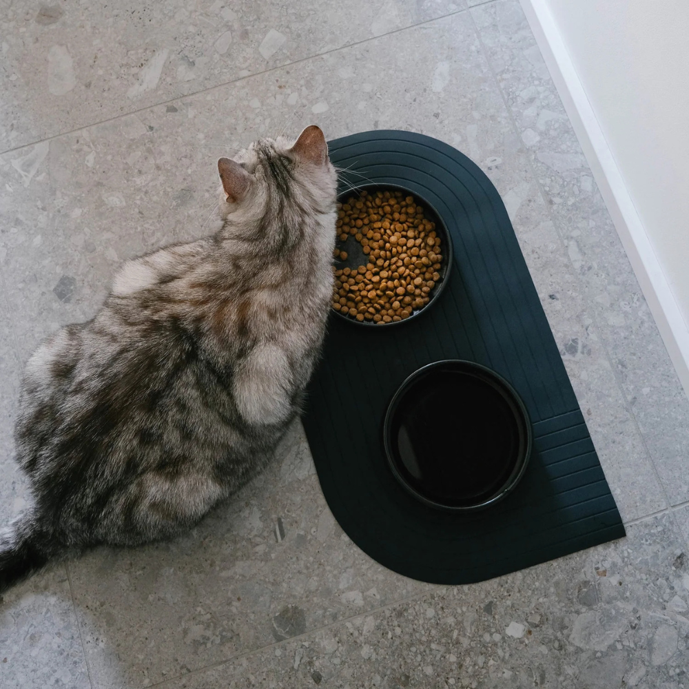 Dekobild mit Napfunterlage GOURMET Schwarz - The Catery