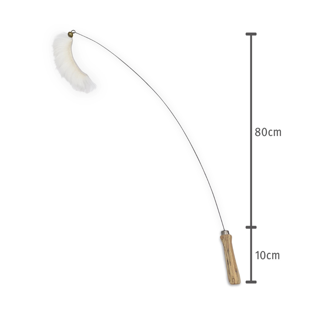 Größenübersicht Katzenangel - Kater Kasimir