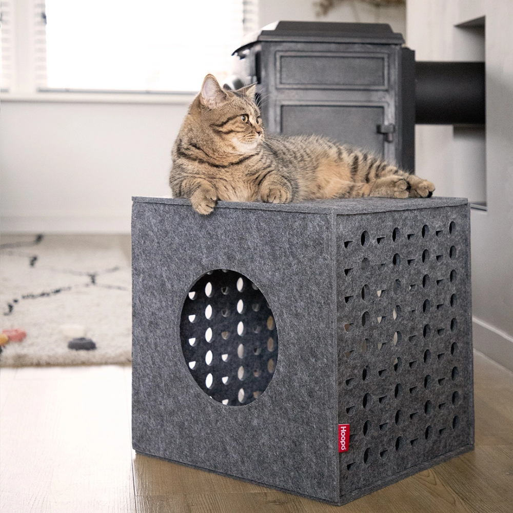 Katze auf Katzenmöbel Spielwürfel CUBE Grau - Hoopo