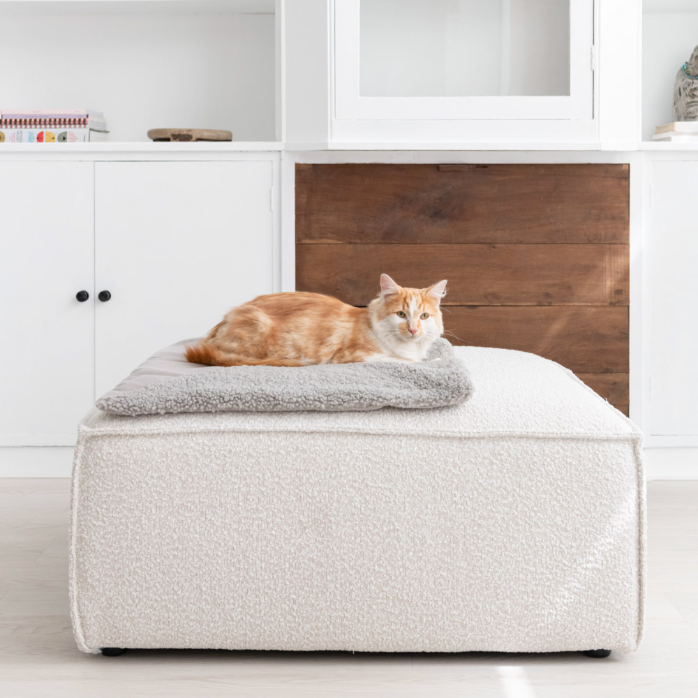 Katze auf Katzendecke TRI Grau - Hoopo