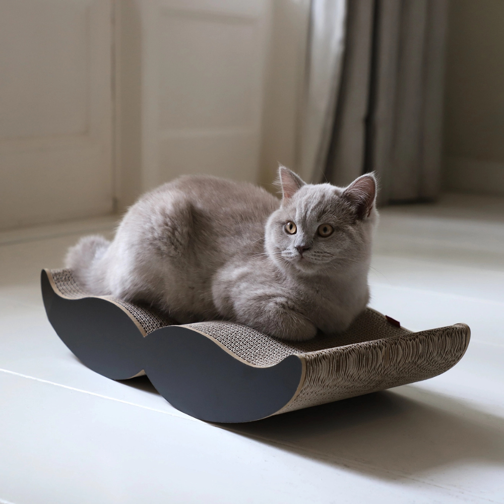 Katze auf Kratzmöbel MOUSTACHE Schwarz - Hoopo