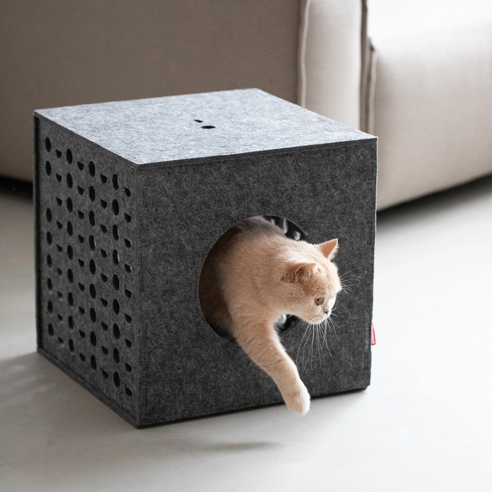 Katze in Katzenmöbel Spielwürfel CUBE Grau - Hoopo