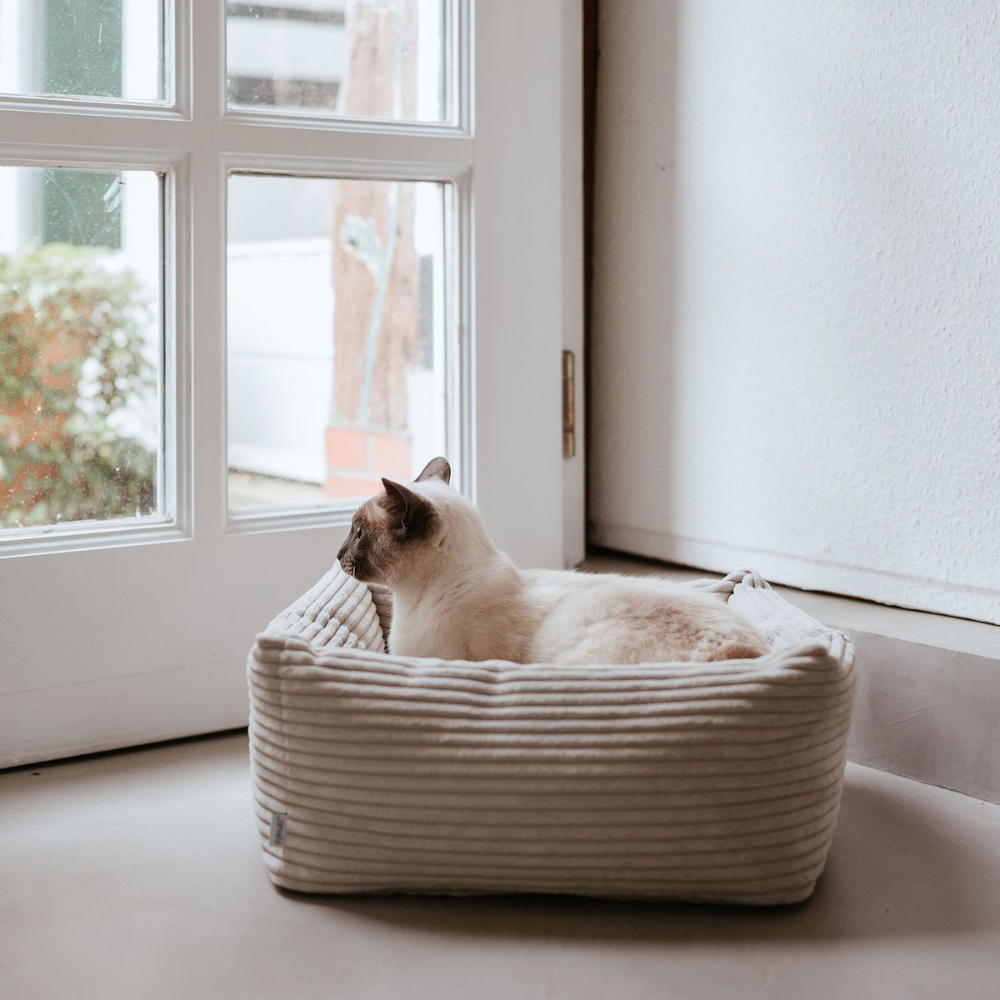 Katze in Katzenbett RIMINI S Beige - stylecats