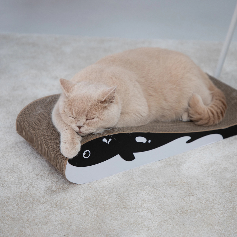 Katze liegend auf Kratzmöbel WALLY - Hoopo