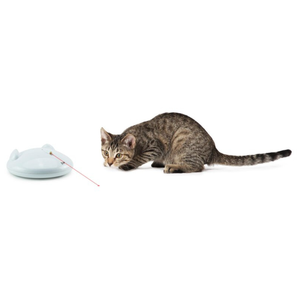 Katze mit PetSafe ZIP Automatisches Laserspielzeug
