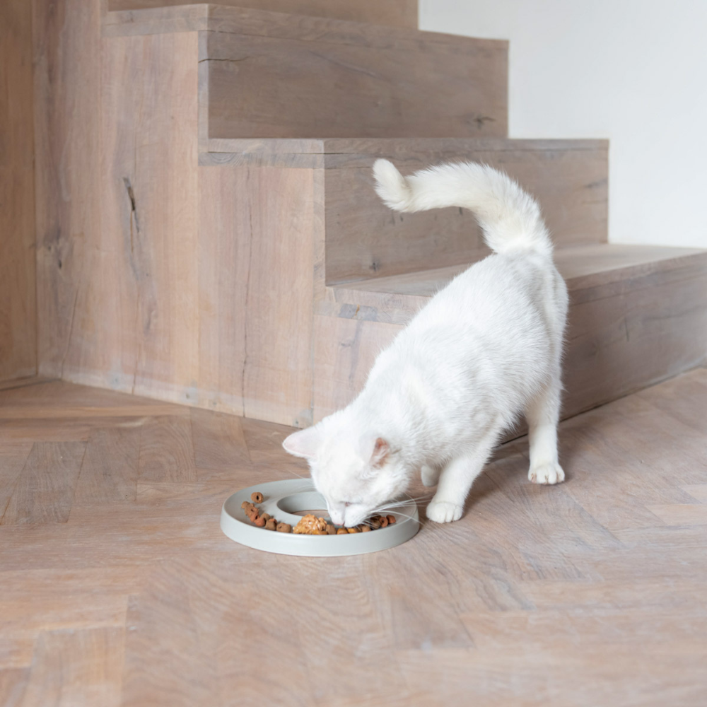 Katze mit Napf Slow Feeder RING Grau - Hoopo