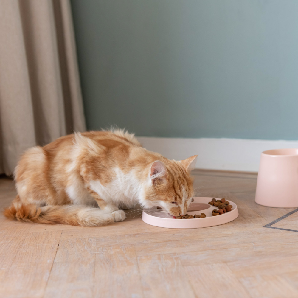 Katze mit Napf Slow Feeder RING Rosa - Hoopo
