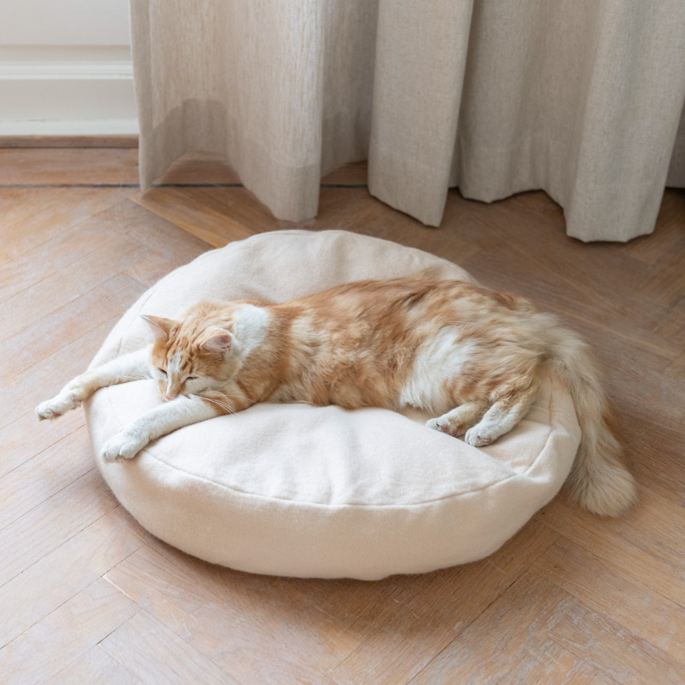 Katze schalfend auf Katzenbett DONUT Beige - Hoopo