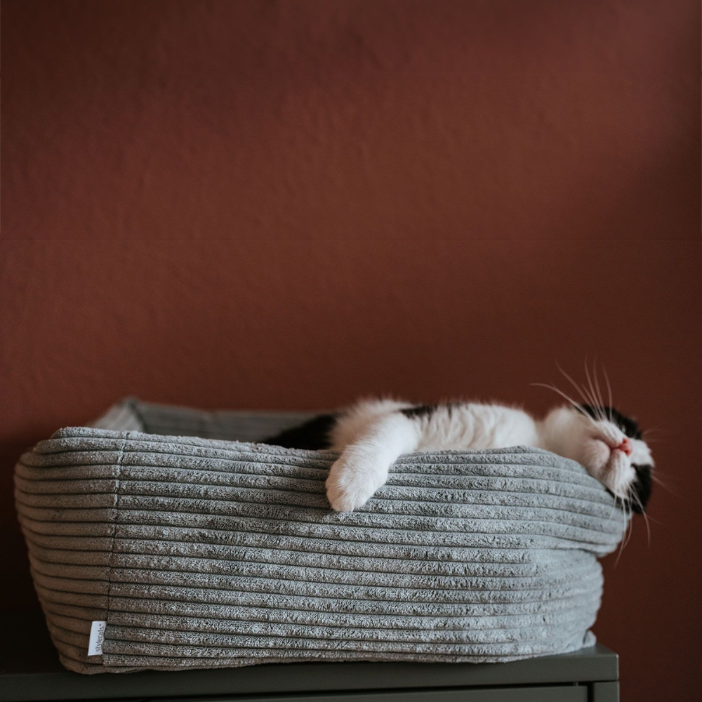 Katze schlafend in Katzenbett RIMINI S Hellgrau - stylecats