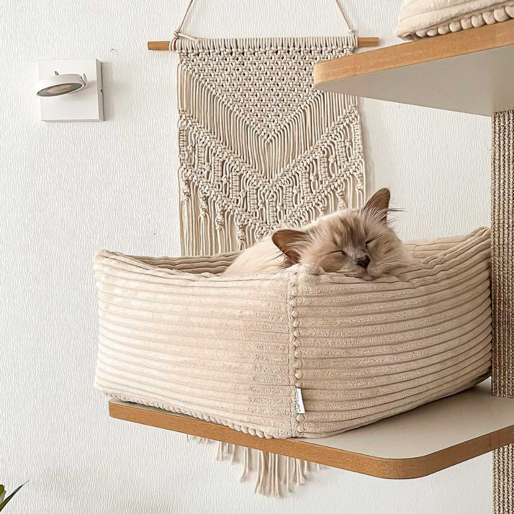 Katze schlafend in Katzenbett RIMINI S Beige - stylecats