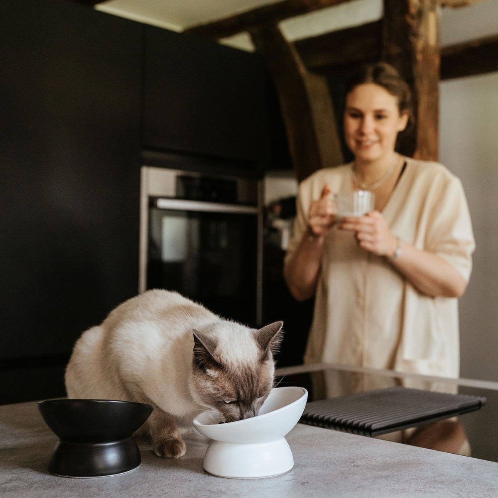 Katze mit Keramik-Katzennapf LANGA Schwarz & Weiß 14 cm - stylecats