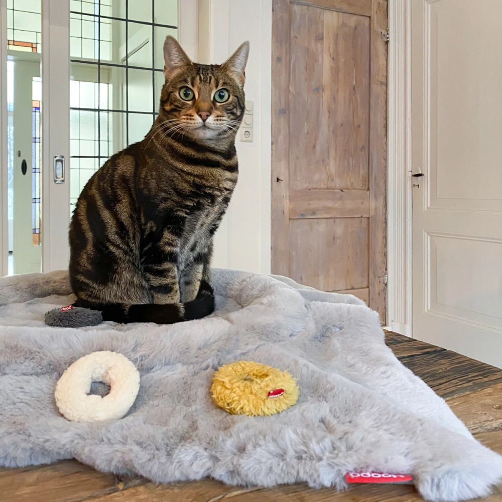 Katze auf Katzenbett FLIP Hellgrau - Hoopo