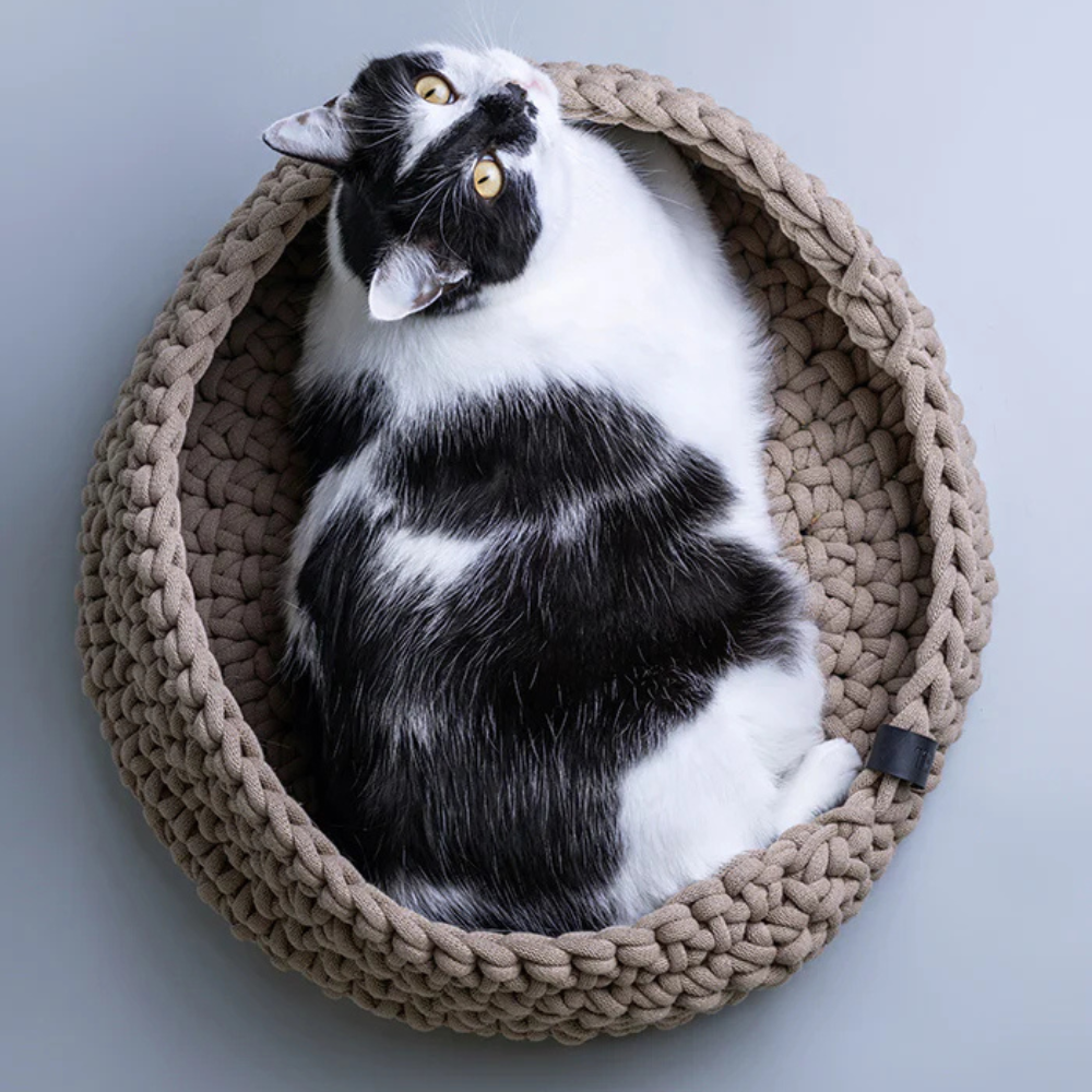 Katze in Katzenbett aus recycelter Baumwolle Beige - Lillabel
