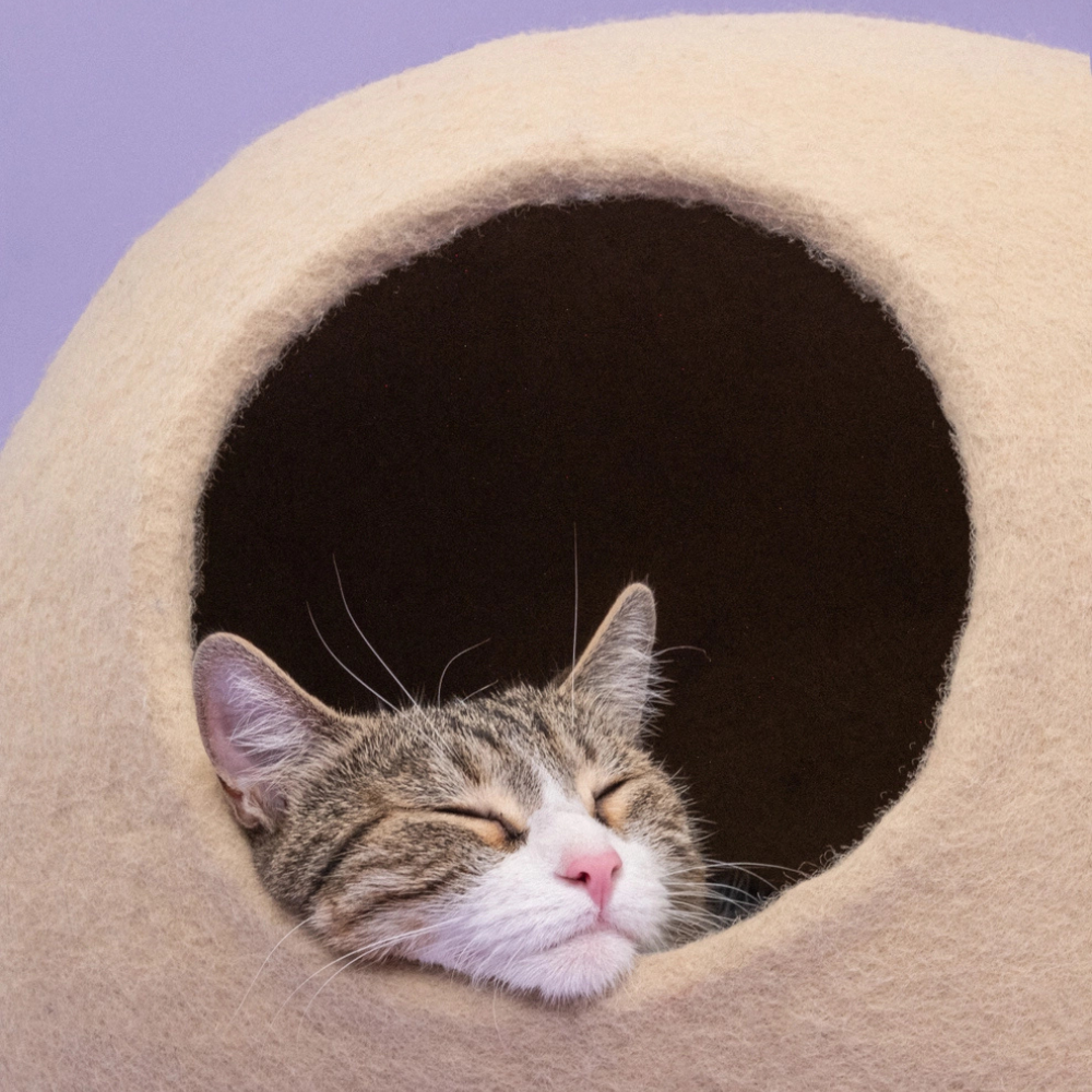 Katze in Katzenhöhle LEVI - myfelt
