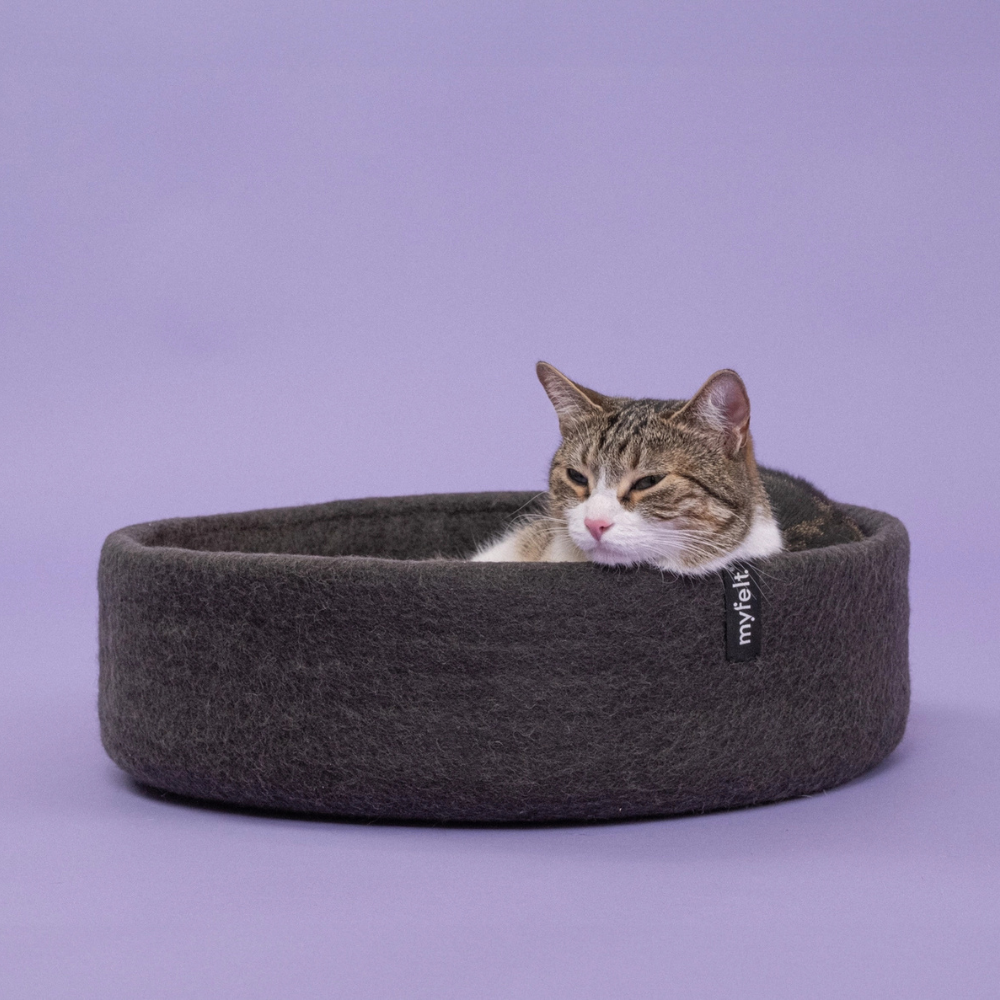 Katze in Katzenkorb KUNO Inlay Braun - myfelt