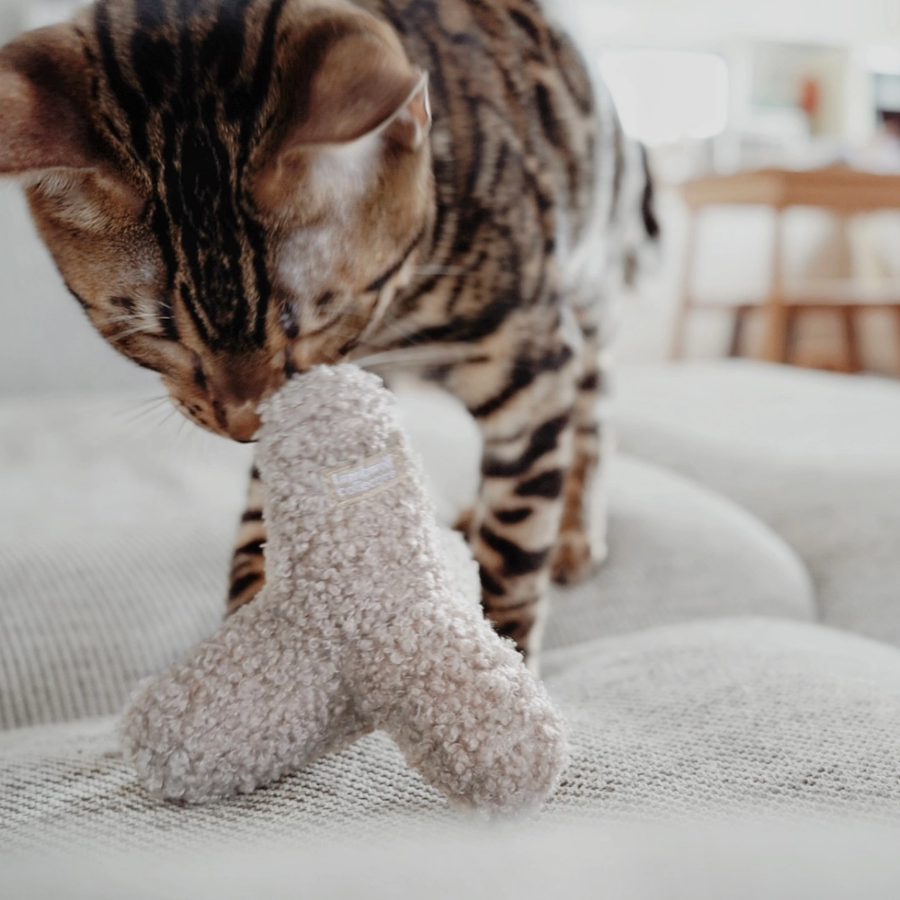 Katze mit Katzenspielzeug KITTY BREUER Hafer - lambwolf collective