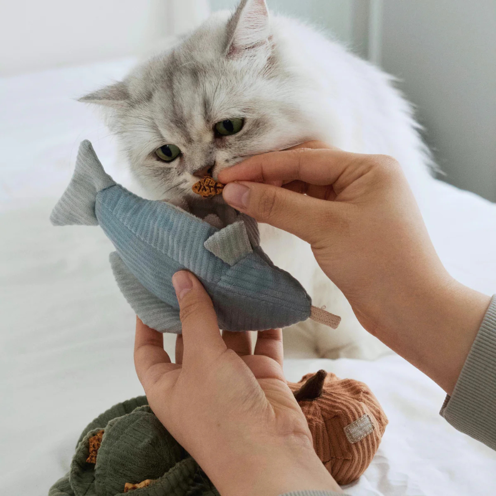 Katze mit Katzenspielzeug KITTY TROUT Forelle Hellblau - lambwolf collective