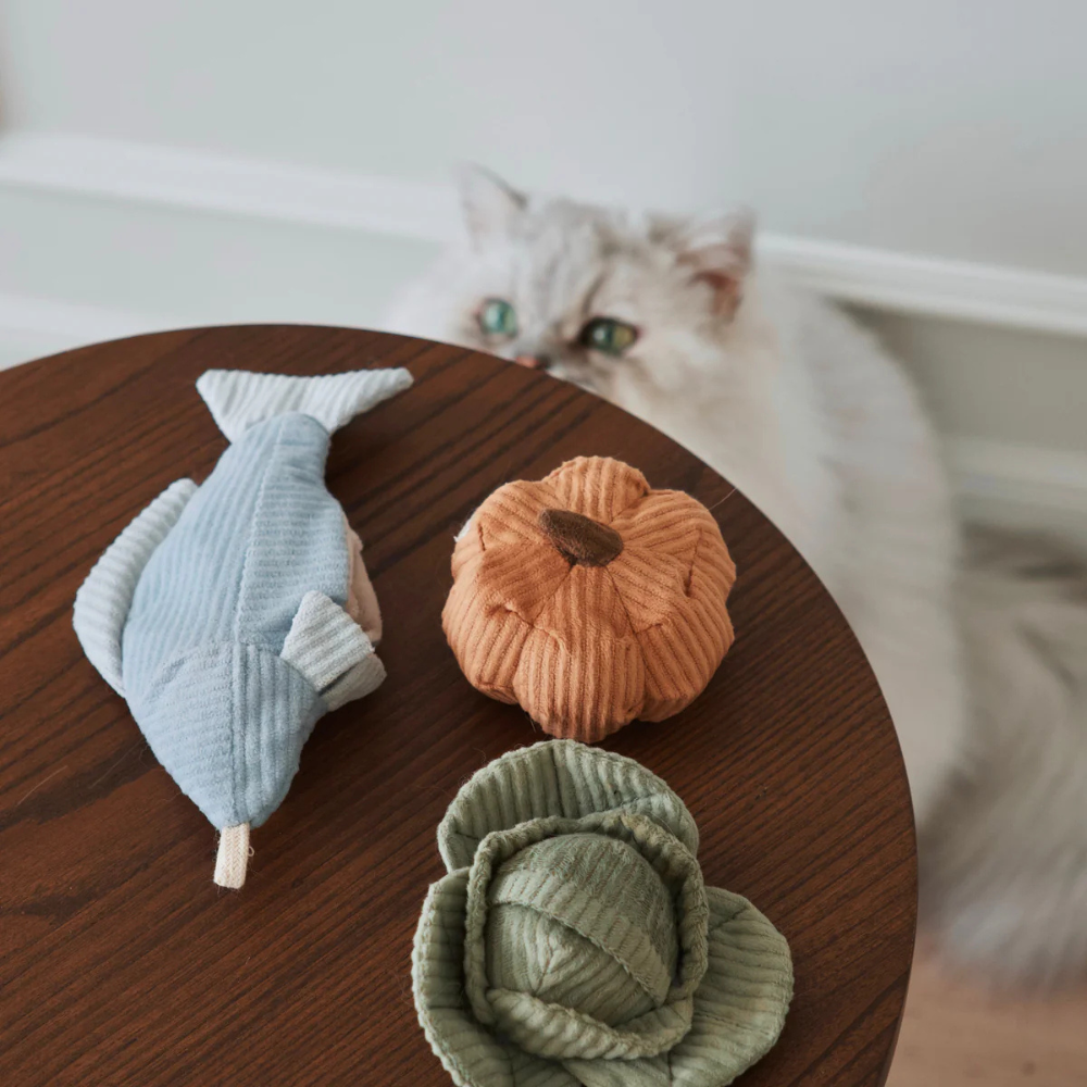 Katze mit Katzenspielzeug KITTY TROUT Forelle Hellblau & VEGGIE Set Kürbis + Kohl - lambwolf collective