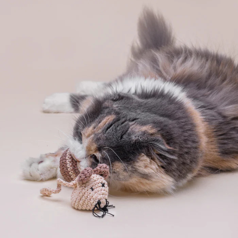 Katze mit Gehäkeltes Katzenspielzeug MAUS Set mit Ball - Lillabel