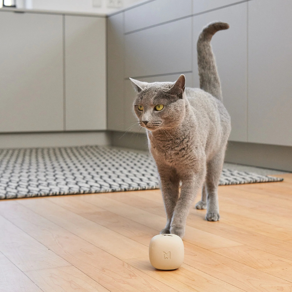 Katze mit Beschäftigungsspielzeug ROTOLO Greige - MiaCara
