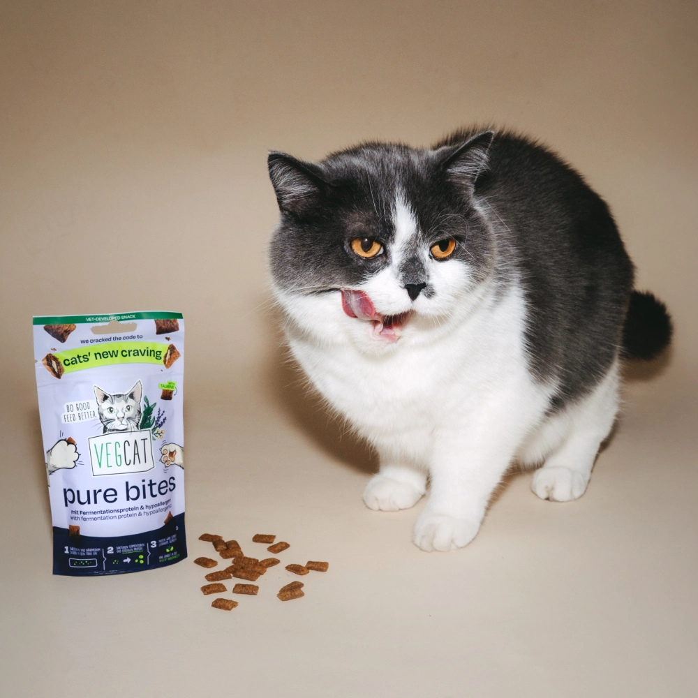 Katze mit VEGCAT Katzenleckerli PURE Bites