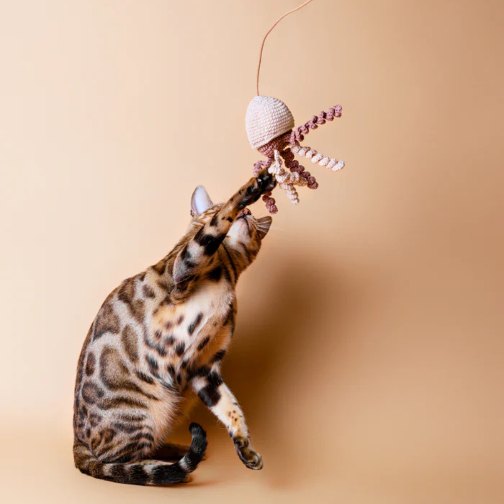 Katze mit Katzenangel JELLYFISH Beige mit Katzenminze & Glöckchen - Lillabel