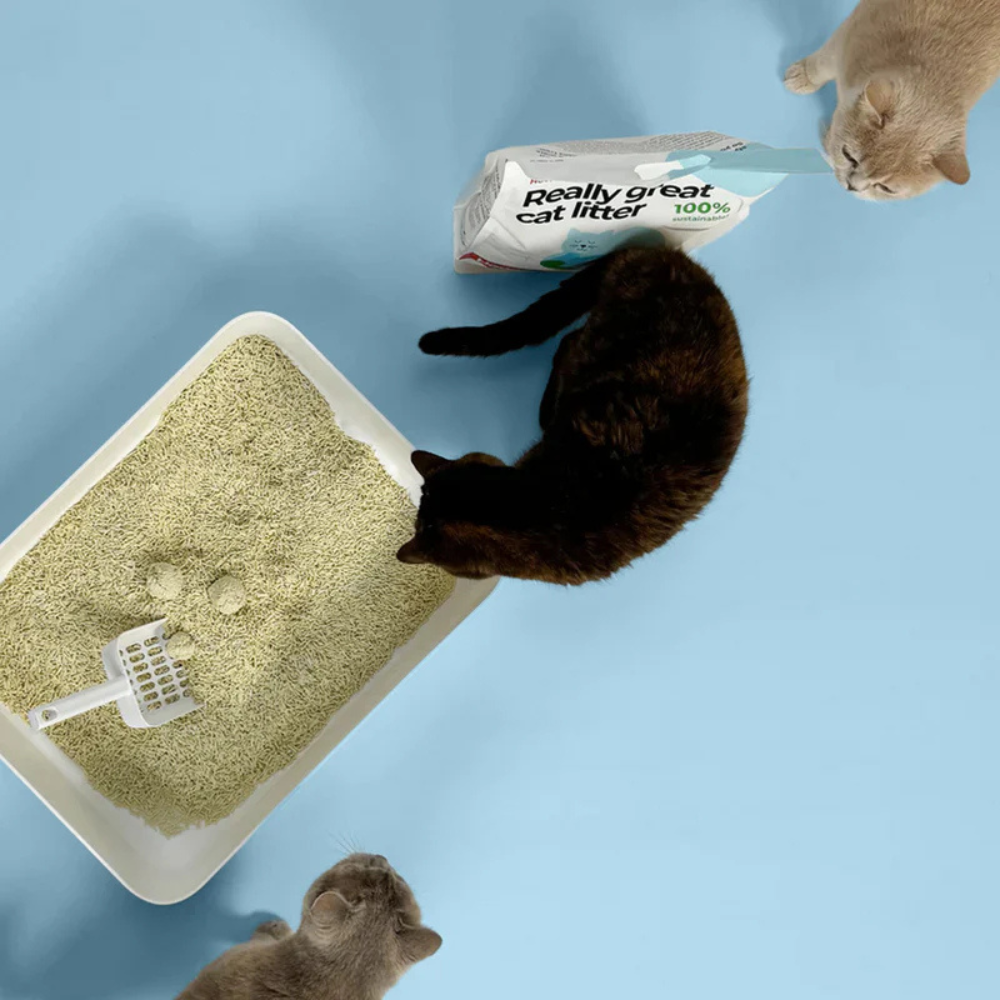 Katzen & Inhalt Katzenstreu TOFU 17L klumpend & staubfrei - Hoopo