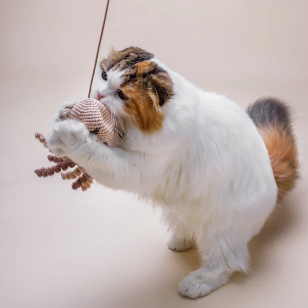 Katzenangel JELLYFISH Beige mit Katzenminze & Glöckchen im Gebrauch - Lillabel