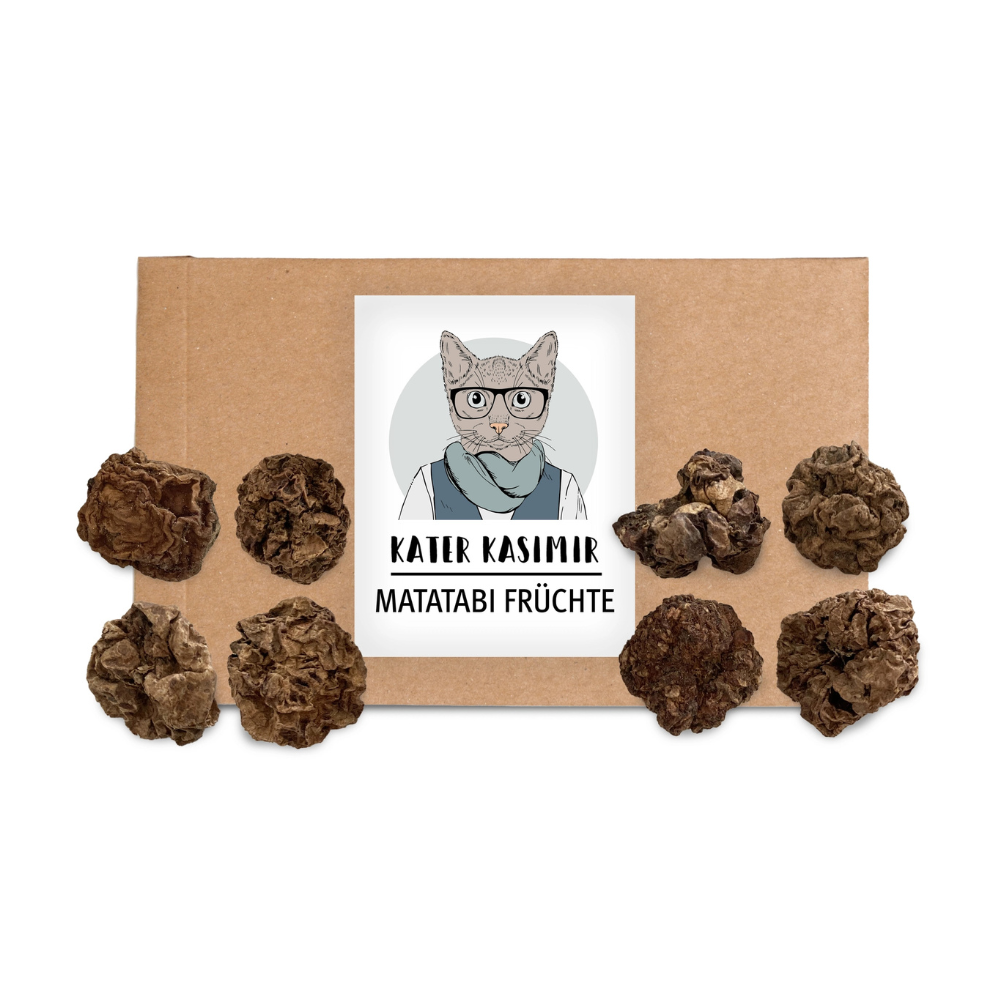Katzenleckerli Matatabi-Früchte - Kater Kasimir