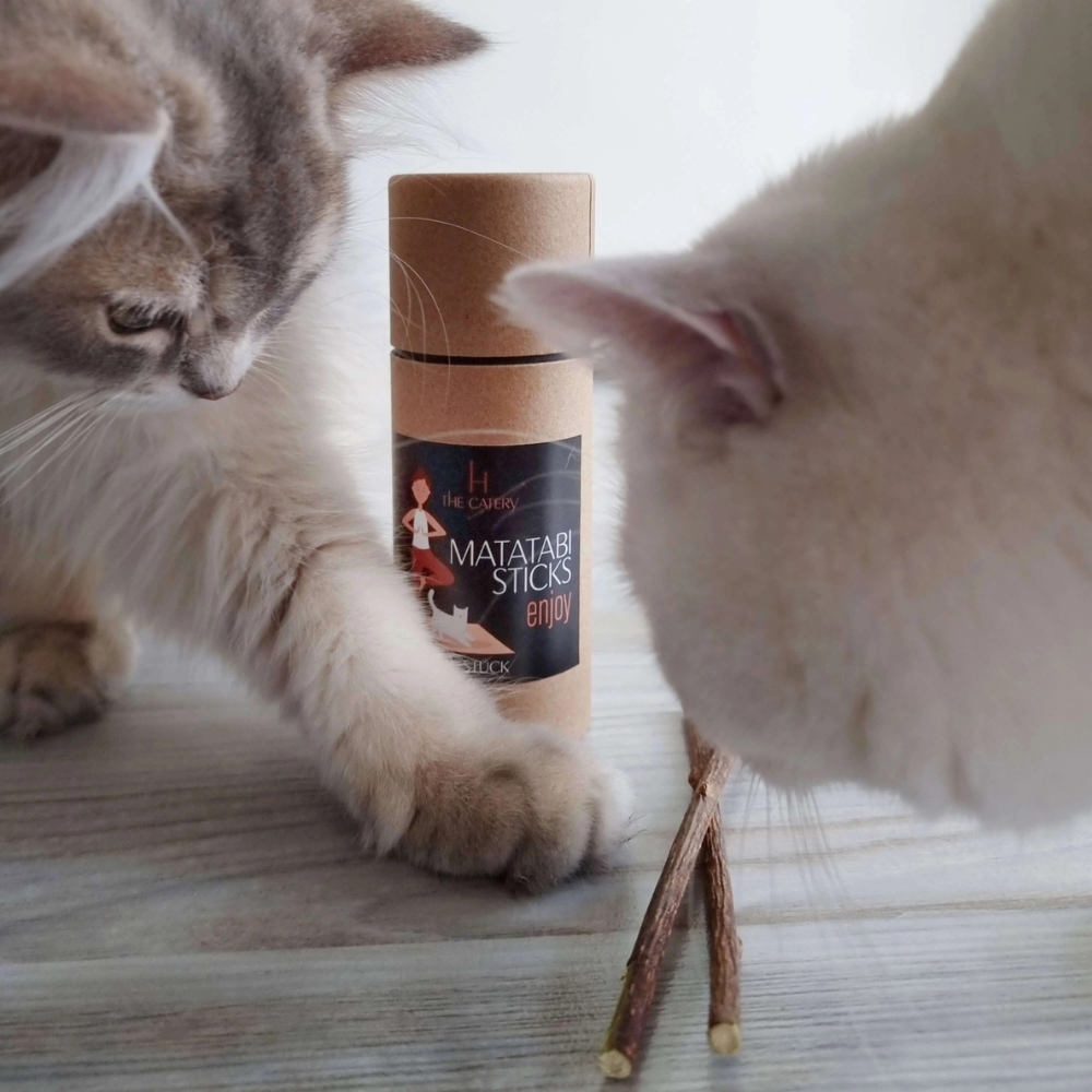 Katzen mit Enjoy Matatabi Sticks - The Catery
