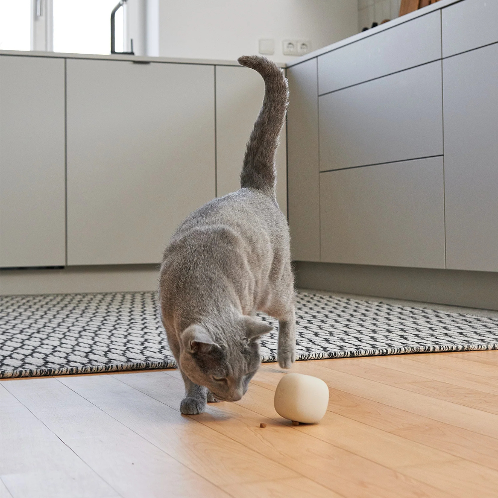Spielende Katze mit Beschäftigungsspielzeug ROTOLO Greige - MiaCara