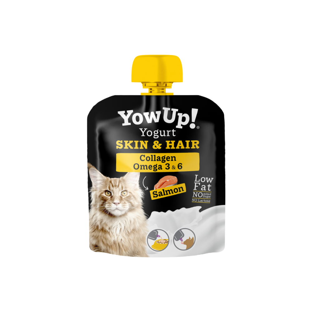 Yoghurt für Katzen Skin & Hair - YowUp!