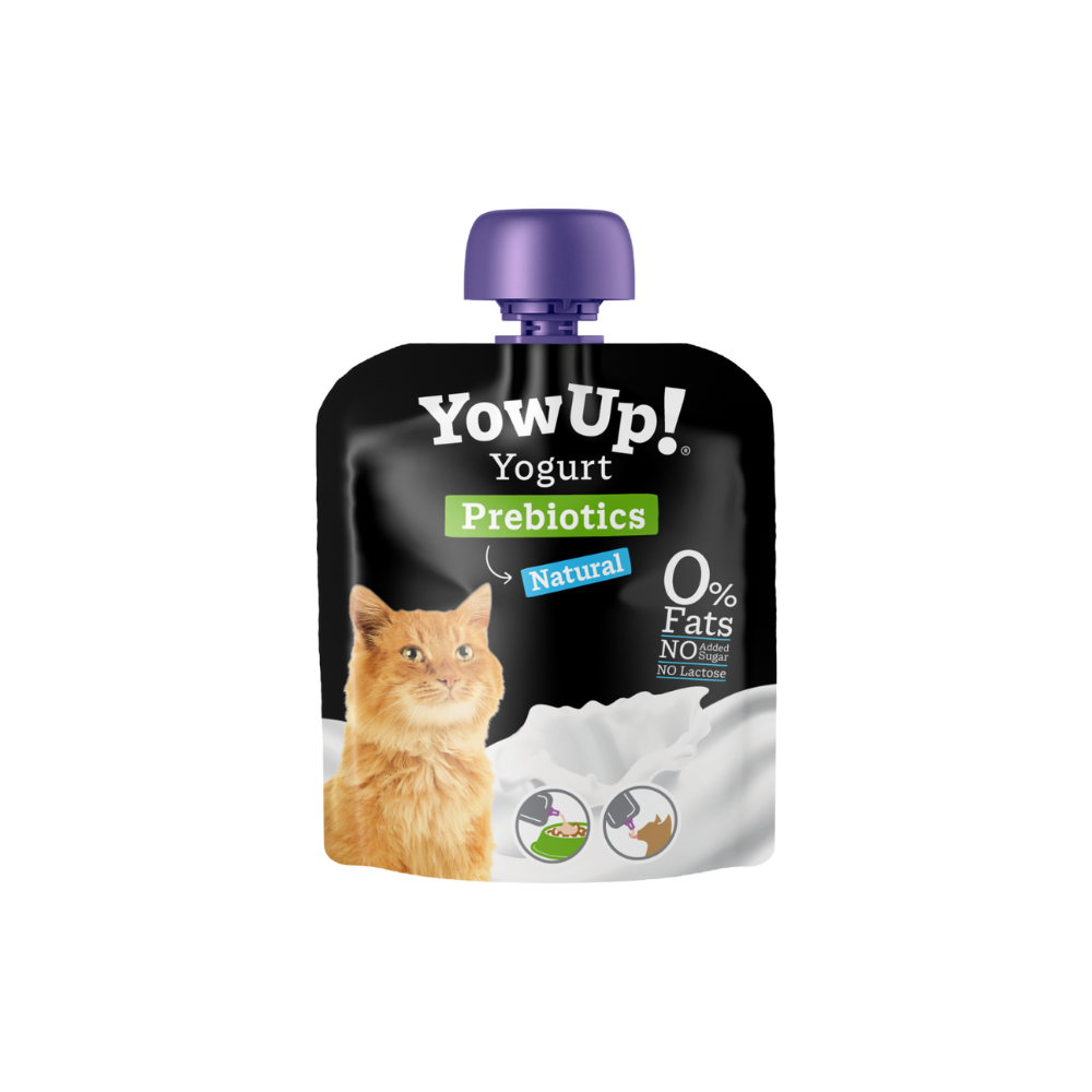Yoghurt für Katzen Probiotics Natural - YowUp!