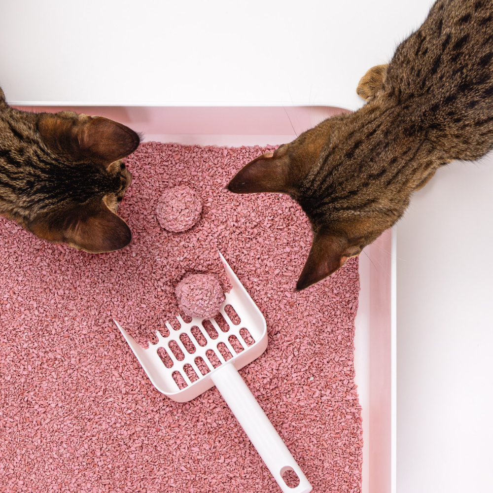 Beispielinhalt Katzenstreu TOFU Fine Babypuder 7L klumpend & staubfrei - Hoopo
