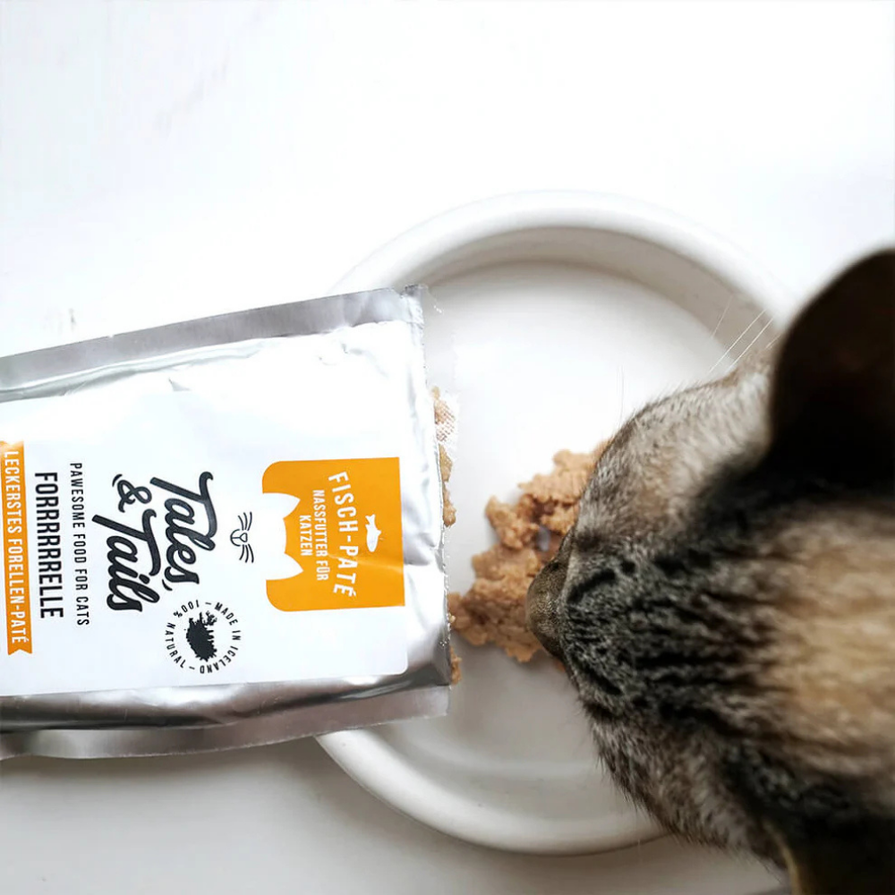 Dekobild Fisch Paté Nassfutter für Katzen - Forrrrrrrelle - Tales & Tails