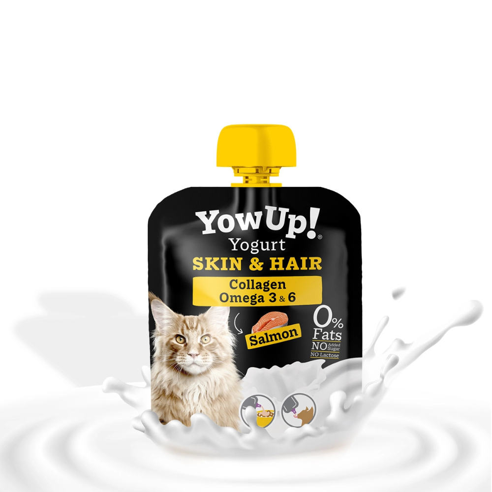 Dekobild Yoghurt für Katzen Skin & Hair - YowUp!