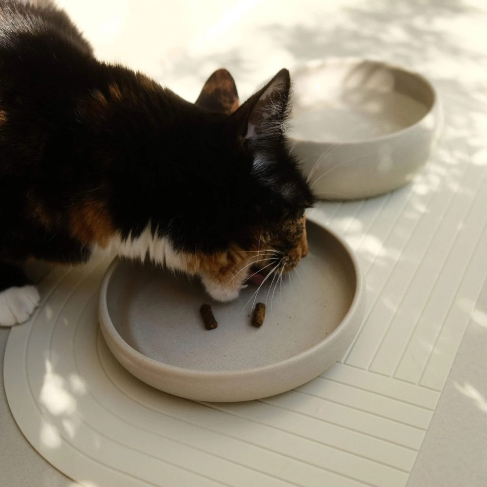 Dekobild mit Katze Napfunterlage GOURMET Creme - The Catery