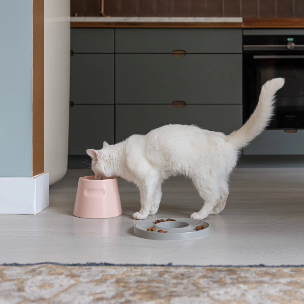 Dekobld Katze trinkend an Napf TOWER Feeder Rosa - Hoopo