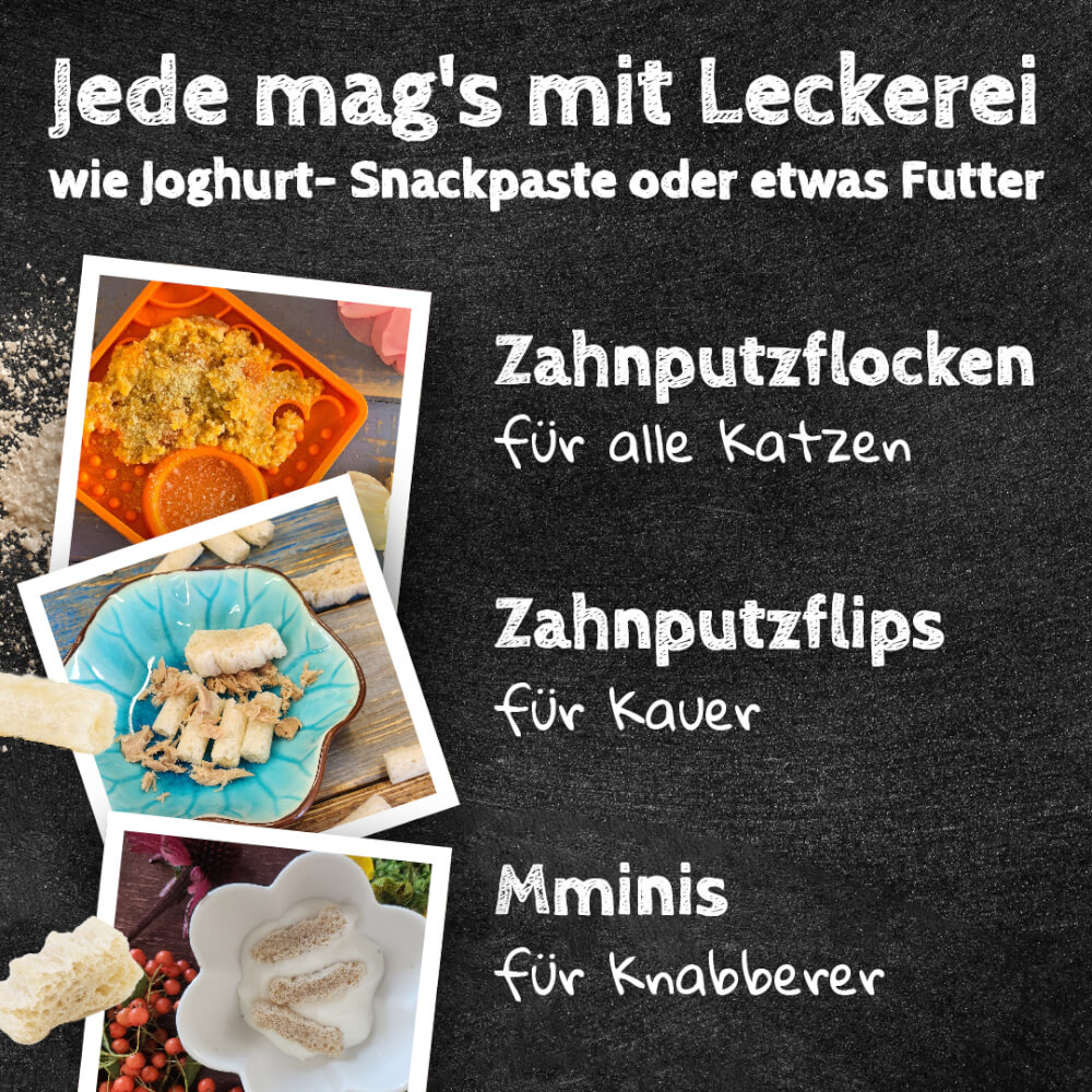 Einsatzöglichkeiten Übersicht Zahnpflegeprodukte für Katzen - QCHEFS